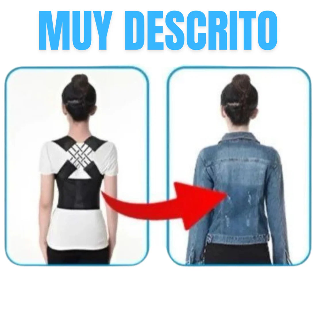 CORRECTOR DE POSTURA XL C6